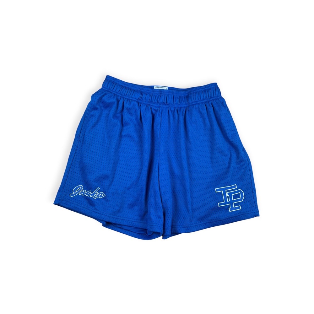 Inaka Power Mens Royal Blue Mesh Gym Shorts Size Large IP Logo Athletic Pockets
